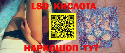 крисы Новозыбков