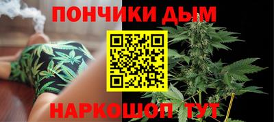 крисы Новозыбков