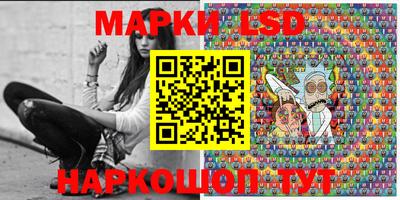 крисы Новозыбков