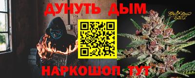 крисы Новозыбков