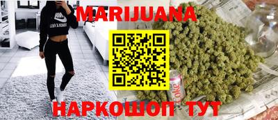 крисы Новозыбков