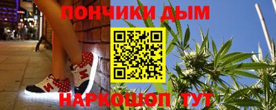 крисы Новозыбков