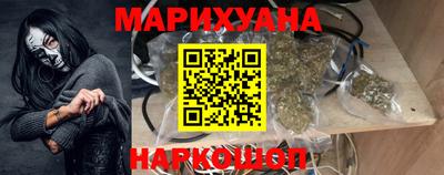 крисы Новозыбков