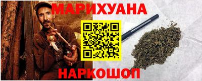 крисы Новозыбков