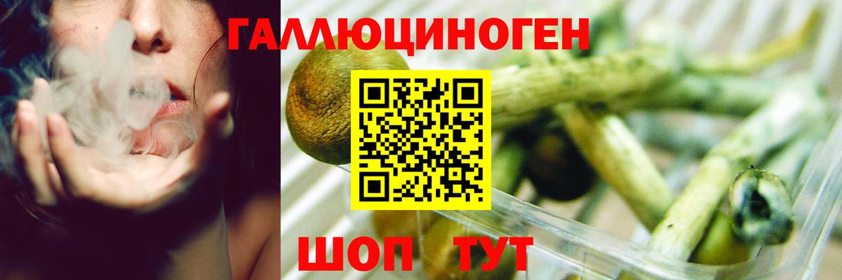 Славгород  Псилоцибиновые грибы прущие грибы  Вход с VPN 