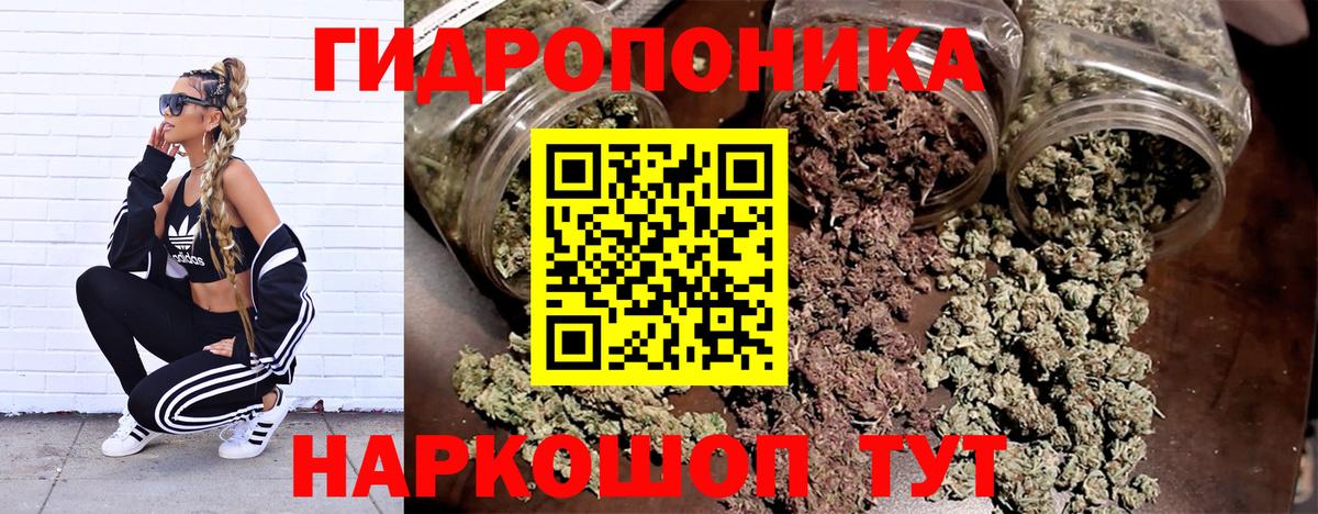 Бошки марихуана конопля  Марихуана White Widow  Вход с VPN  Славгород  МАРИХУАНА OG Kush 